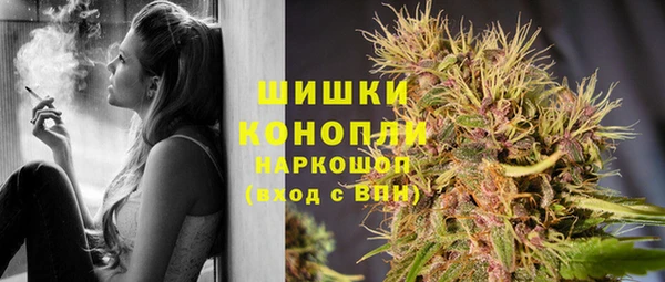 стафф Надым