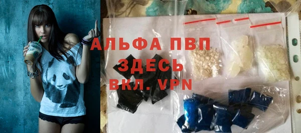 стафф Надым