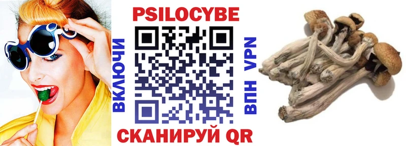 купить закладку  Дзержинск  Псилоцибиновые грибы Psilocybine cubensis 