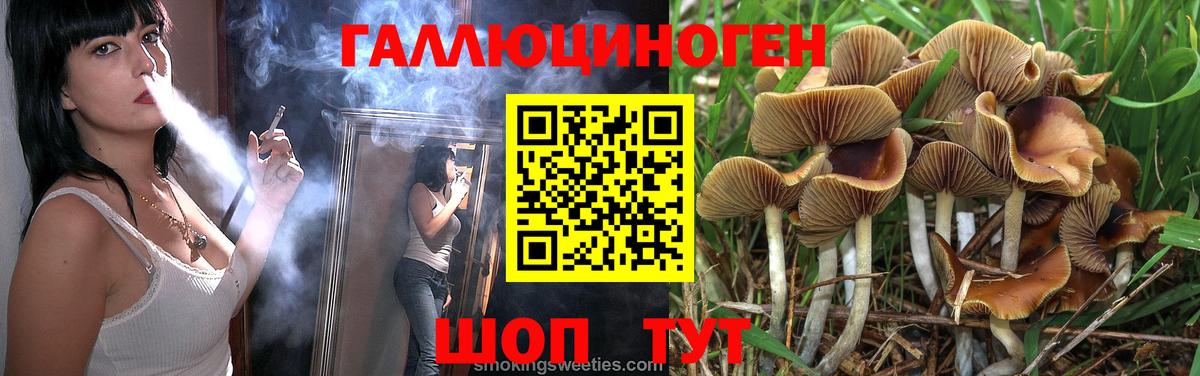 Псилоцибиновые грибы Magic Shrooms  Галлюциногенные грибы Psilocybe  Дзержинск 