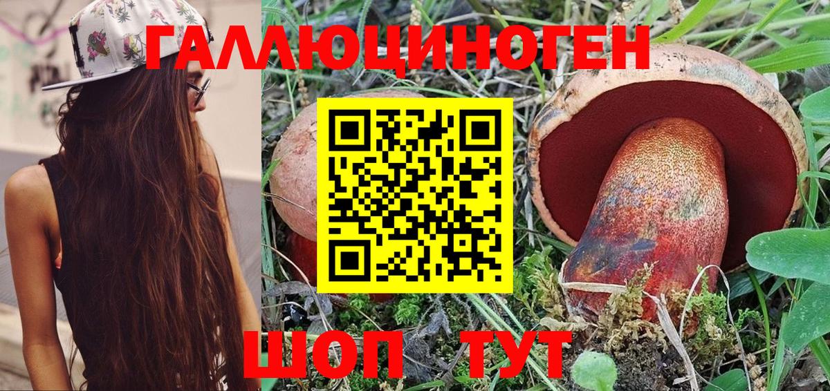 Псилоцибиновые грибы Cubensis  Вход с VPN  где найти наркотики  Дзержинск  Псилоцибиновые грибы ЛСД 