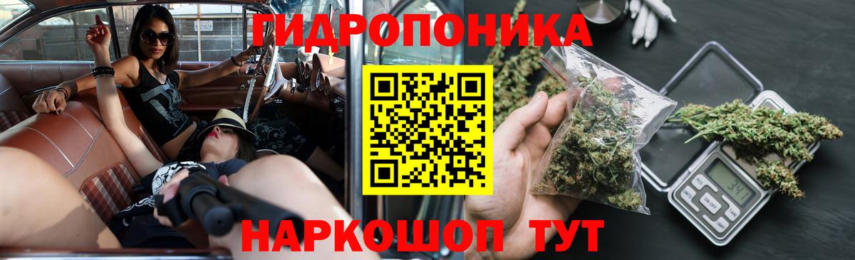 Конопля LSD WEED  Вход с VPN  Шишки марихуана гибрид  Конопля Ganja  Дзержинск  Каннабис тримм 